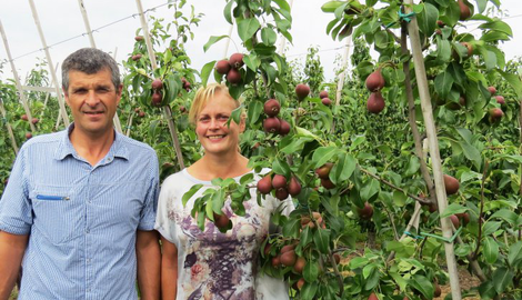 Pourquoi est-ce qu'il n'y a plus de pommes et poires belges dans votre corbeille de fruits?