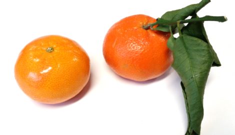 Mandarijn of clementine?