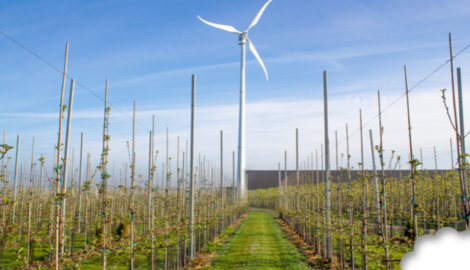 Eigen windmolen produceert groene energie voor productie en kantoren bij Fruitsnacks