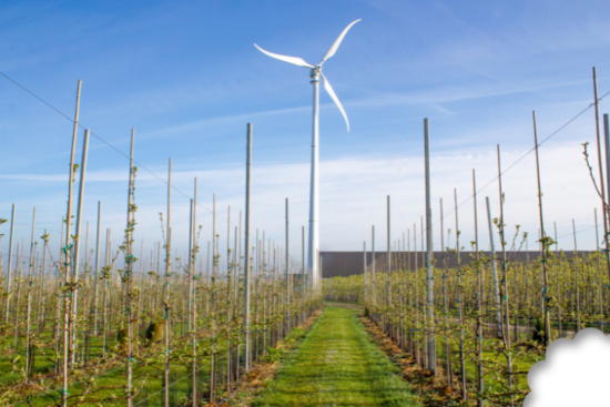 Eigen windmolen produceert groene energie voor productie en kantoren bij Fruitsnacks