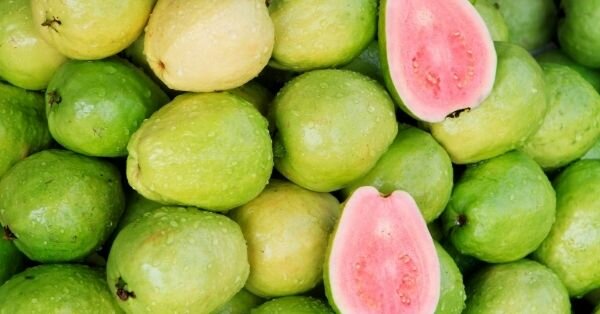 specificatie ontsnappen rommel In welk fruit zit het meest Vitamine C? [TOP 10] | Fruitsnacks